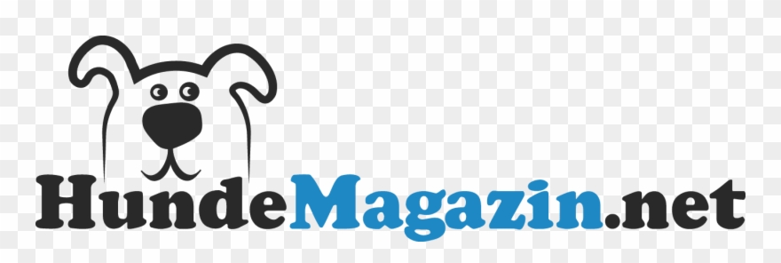 Garmin Virb Ultra 30 Clipart