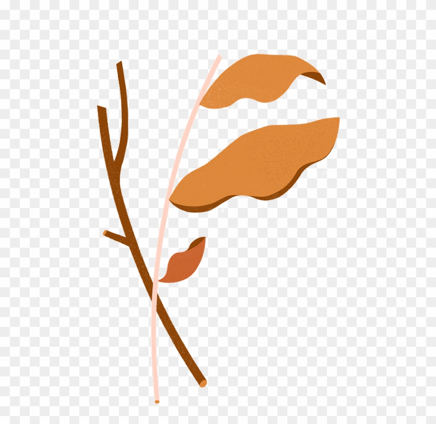 Dryness & Rough Texture Clipart