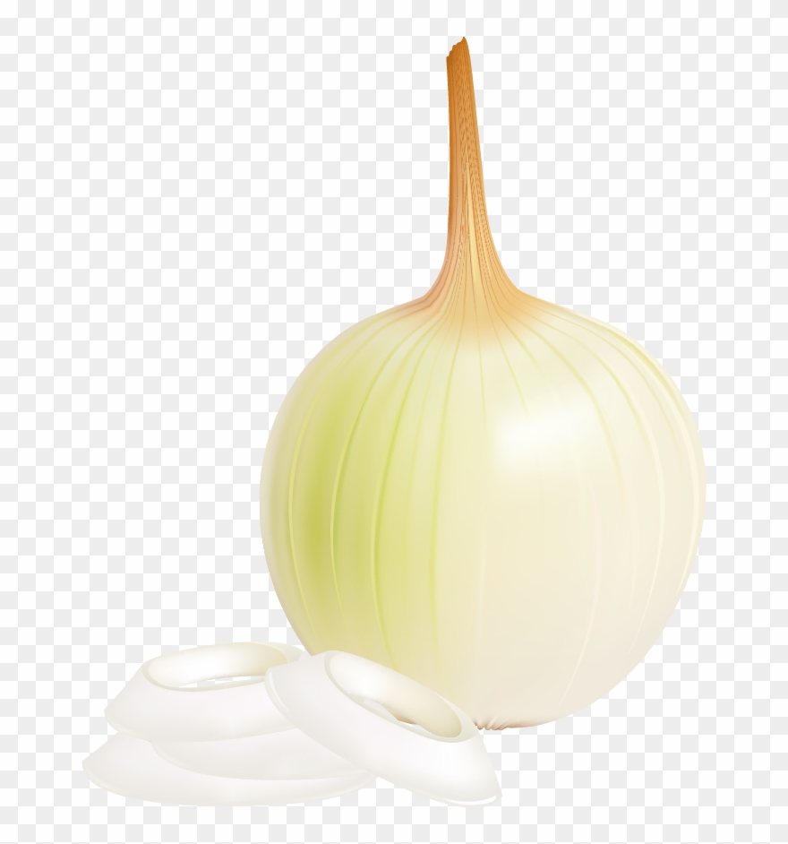 View Full Size - Garlic Clipart