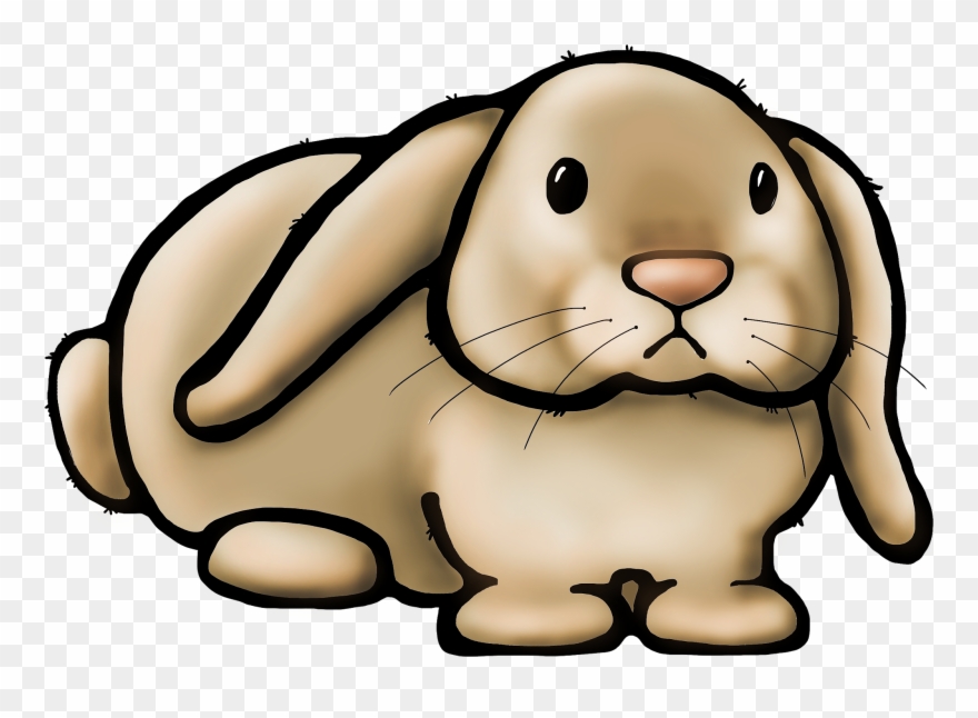 Rabbit Clipart Teacher - Cartoon - Png Download