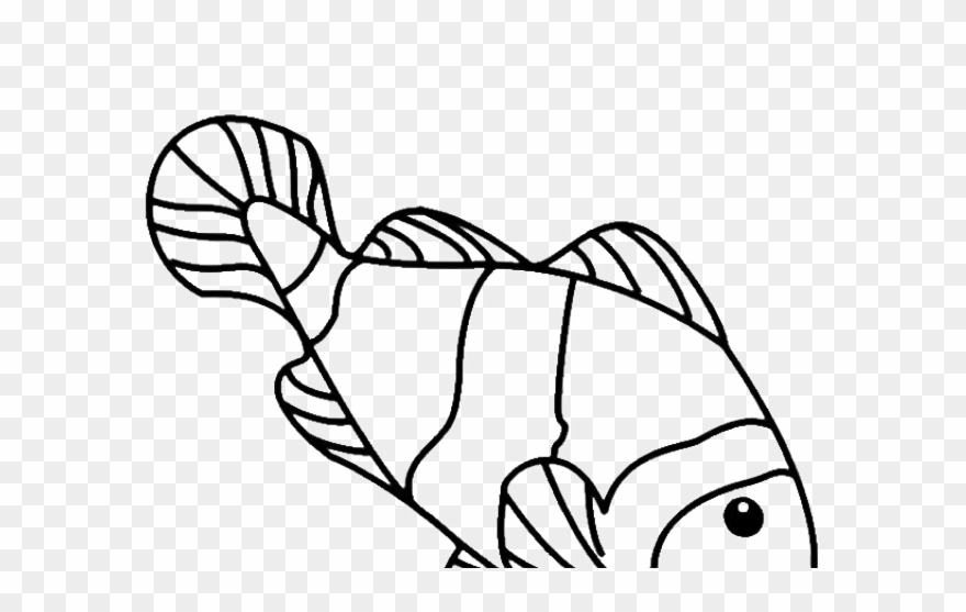 Koi Fish Clipart Draw In Color - Gambar Sketsa Ikan Nemo - Png Download