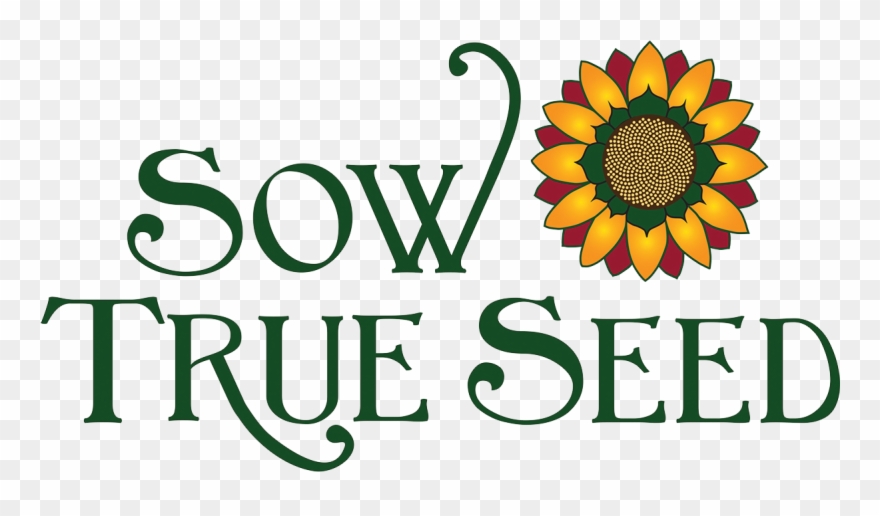 In 2014 Sow True Seed Had A Meeting To Discuss How - Sow True Seed Logo Clipart