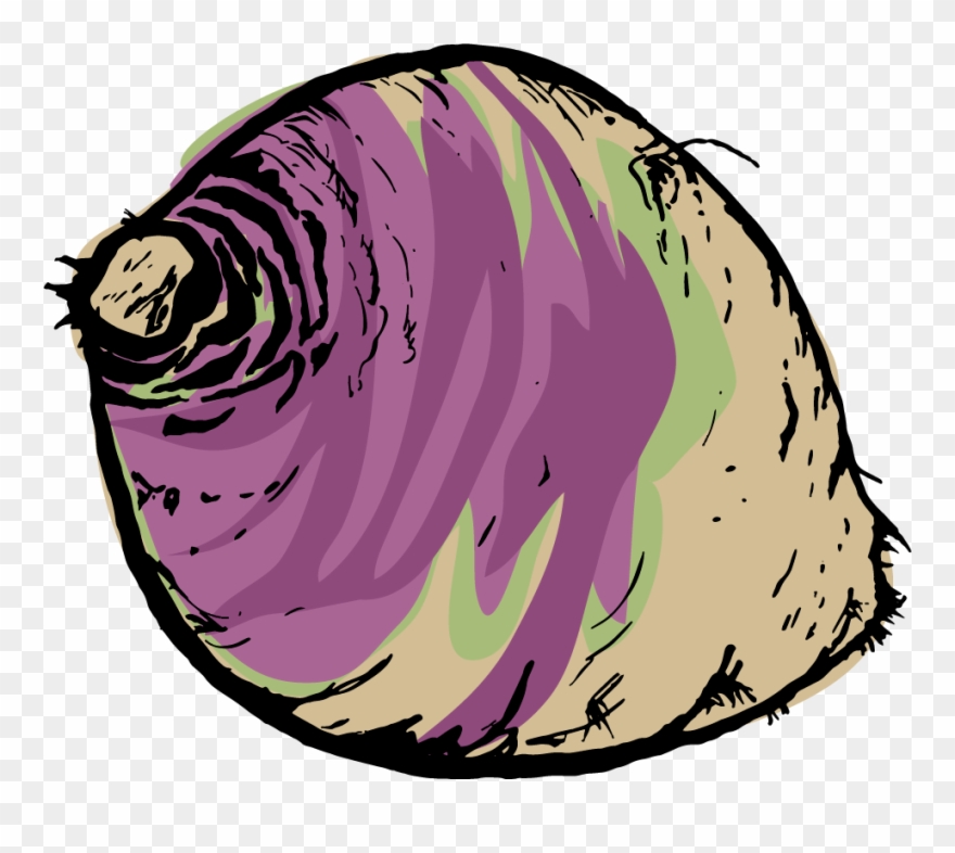 Autumn Infinity Foods Swede - Swede Clipart - Png Download