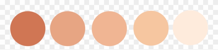 Vector Skin Color Palette Clipart
