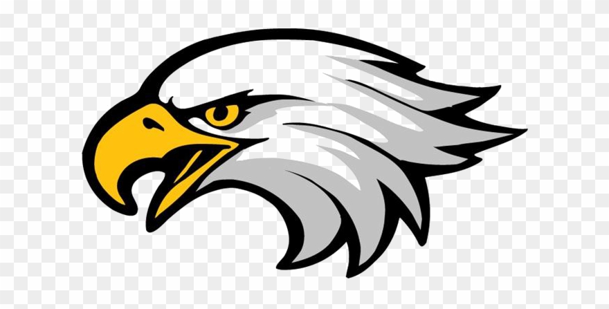 Face Clipart Eagle - Bald Eagle Head Clip Art - Png Download
