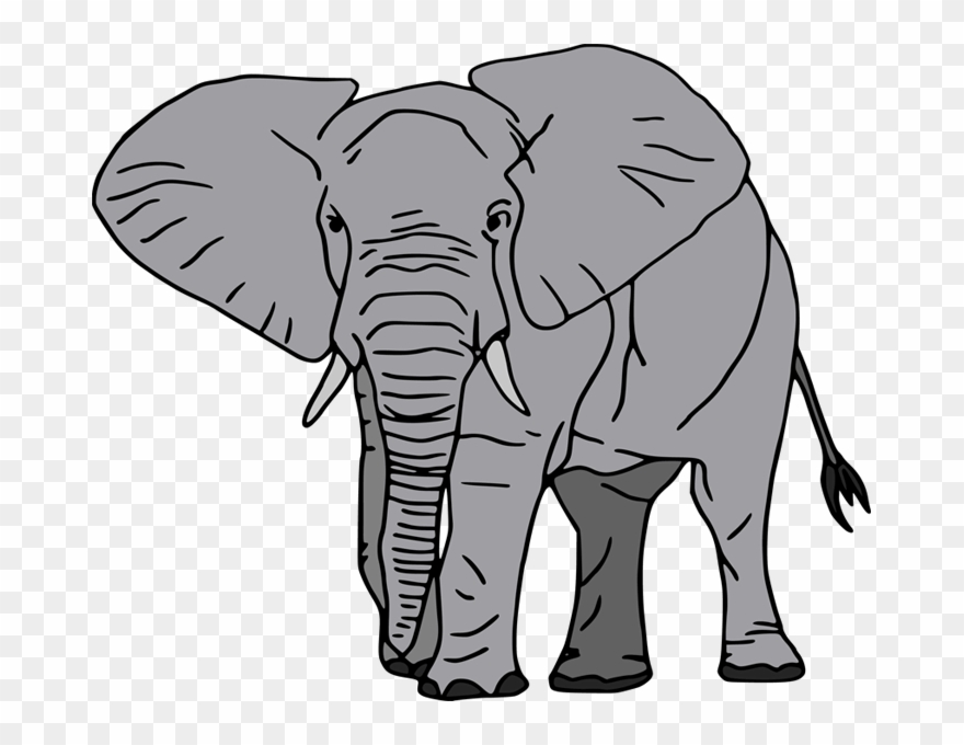 Jokes For Kids With Zoo Animals Educational Children - Cartoon Big Elephant Clipart
