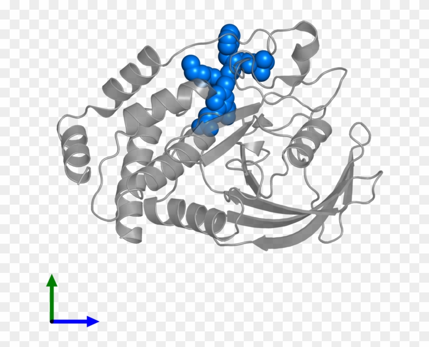 <div Class='caption-body'>pdb Entry 1jf7 Contains 1 - Illustration Clipart