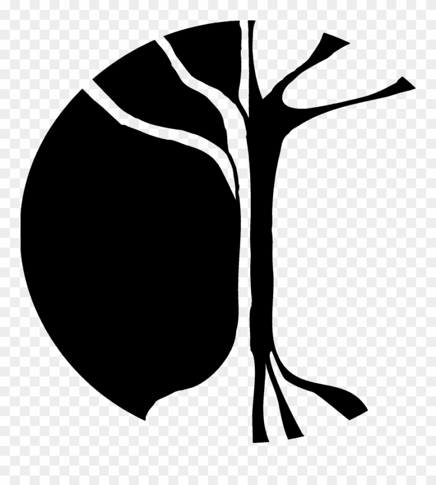 Exercise Clipart