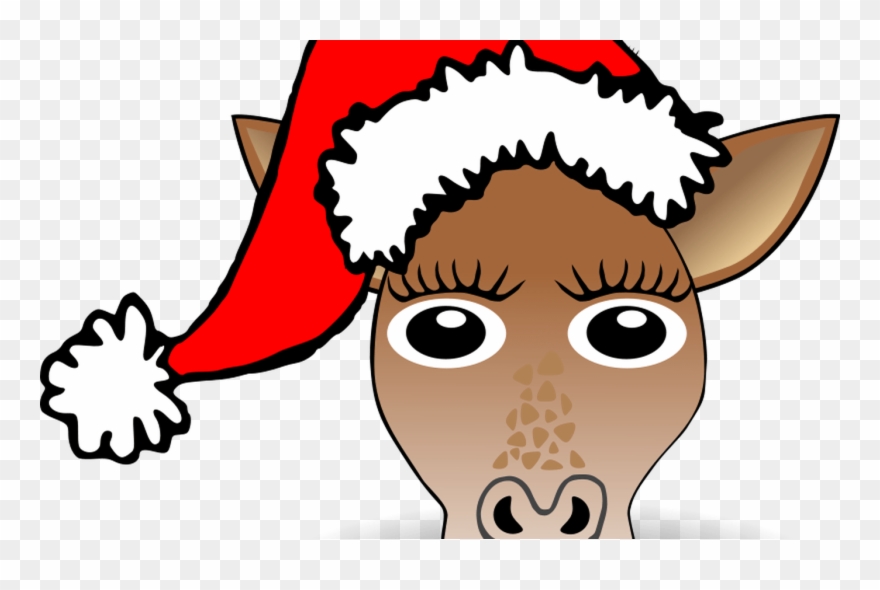 Free Santa Cartoon Images, Download Free Clip Art, - Bonnet De Noel Dessin - Png Download