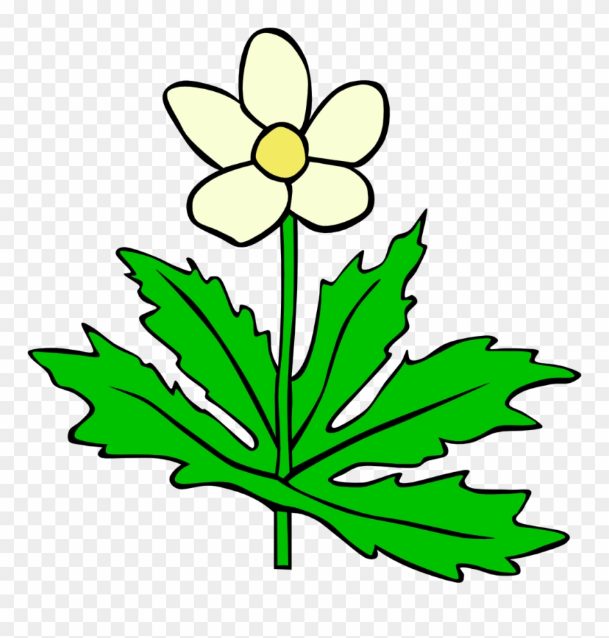 Plant With Flower Clipart - Png Download