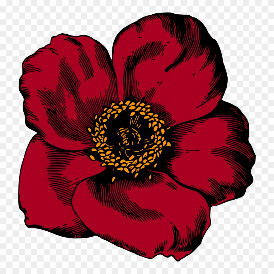 Medium Image - Red Color Flower Png Clipart