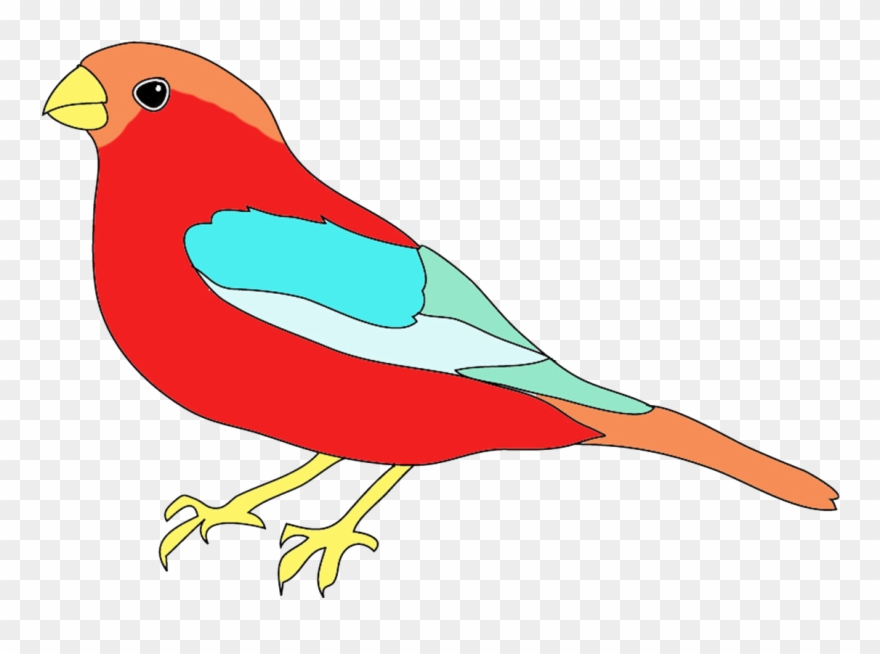 Banner Free Stock Bird For Drawing At Getdrawings - Birds Drawing With Colours Clipart