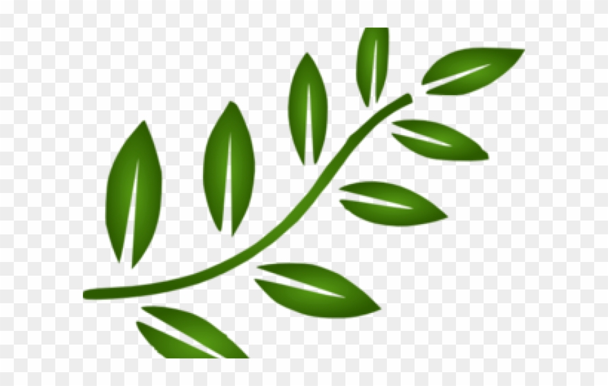 Branch Leaves Cliparts - Leaves Branch Clipart Black And White - Png Download