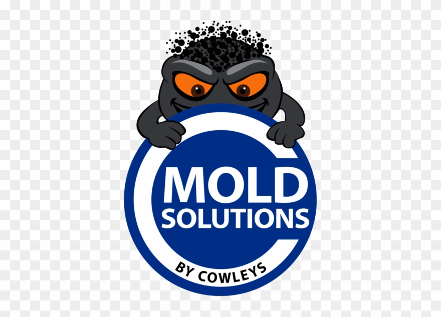 Mold Removal Contractor In Monmouth County, Nj - Mold Solutions By Cowleys Clipart