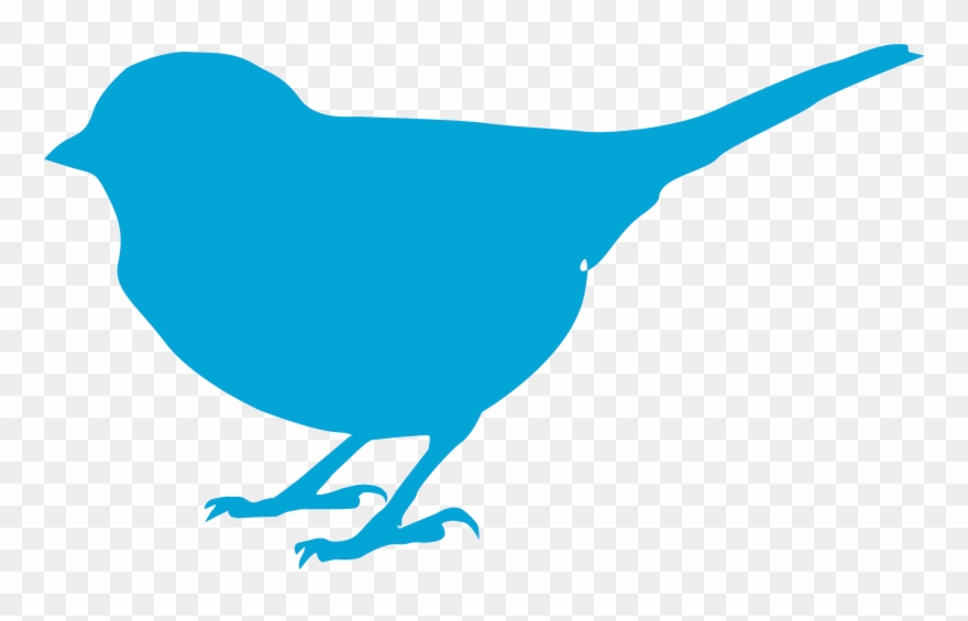 Birds - Clip Art Bird Silhouette - Png Download