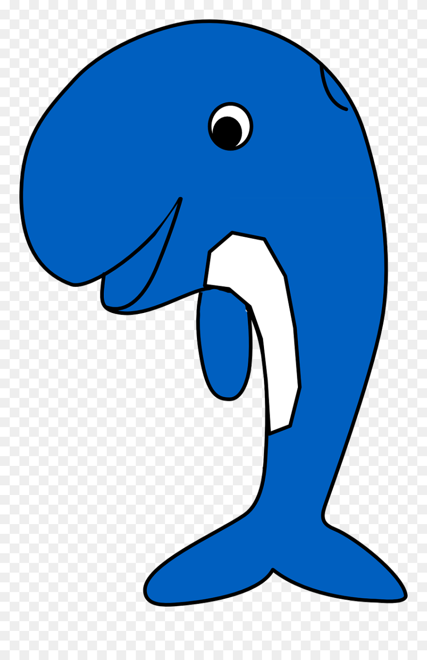 Imagem Gratis No Pixabay Baleia Golfinho Pulando Salto - Animated Blue Whale Clipart