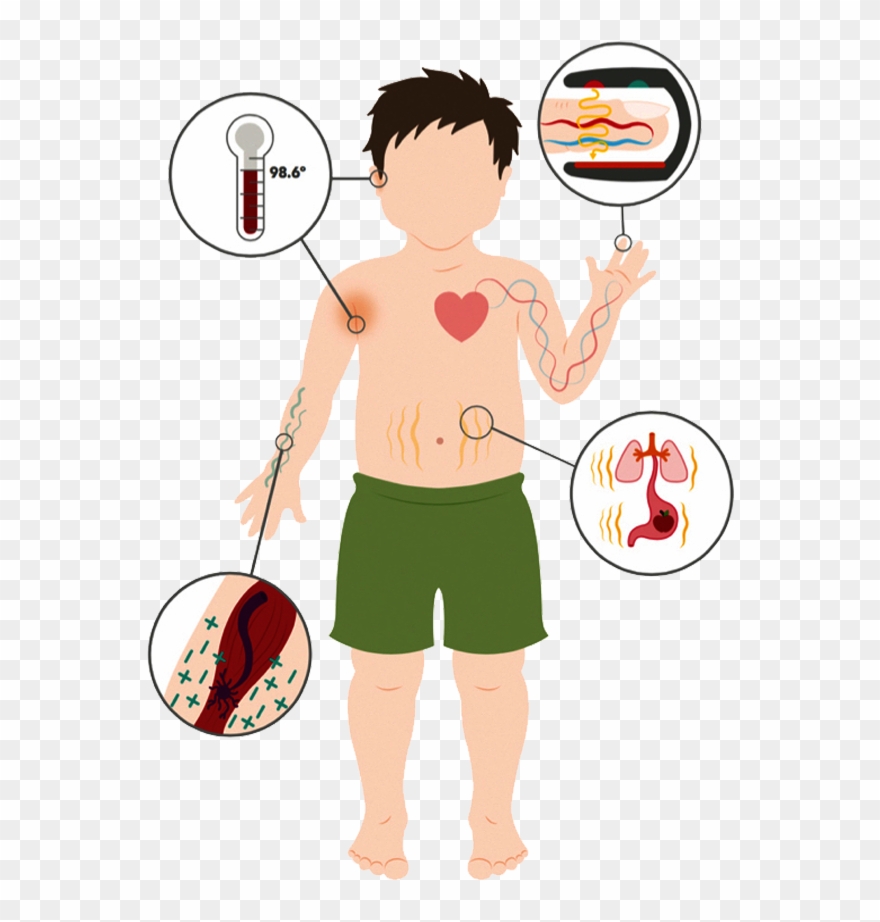 Blood Oxygenation And Heart Rate - Cartoon Clipart