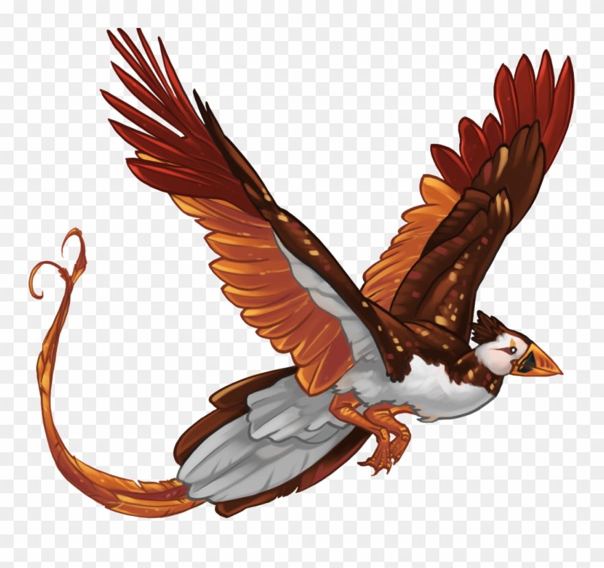 Hawk Clipart