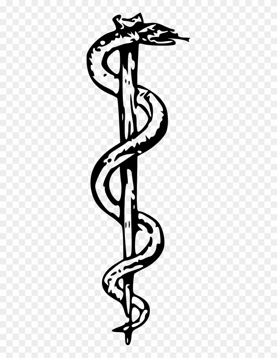 Rod Of Asclepius Http - Crash Course In Healthcare Clipart