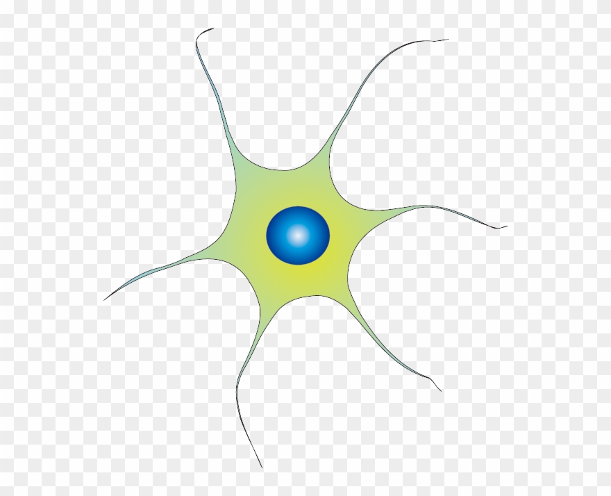 201102 Neuron - - Circle Clipart