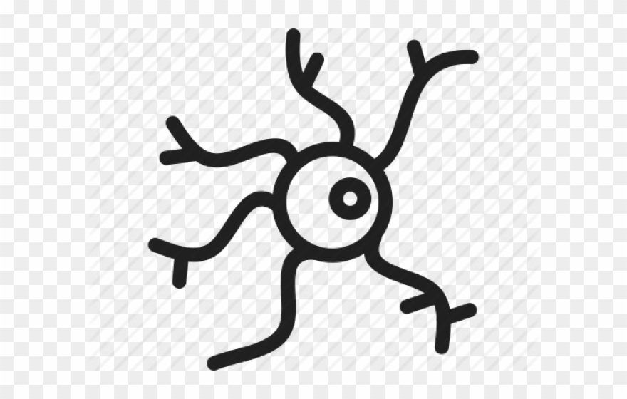 Nerve Cell Icon Clipart