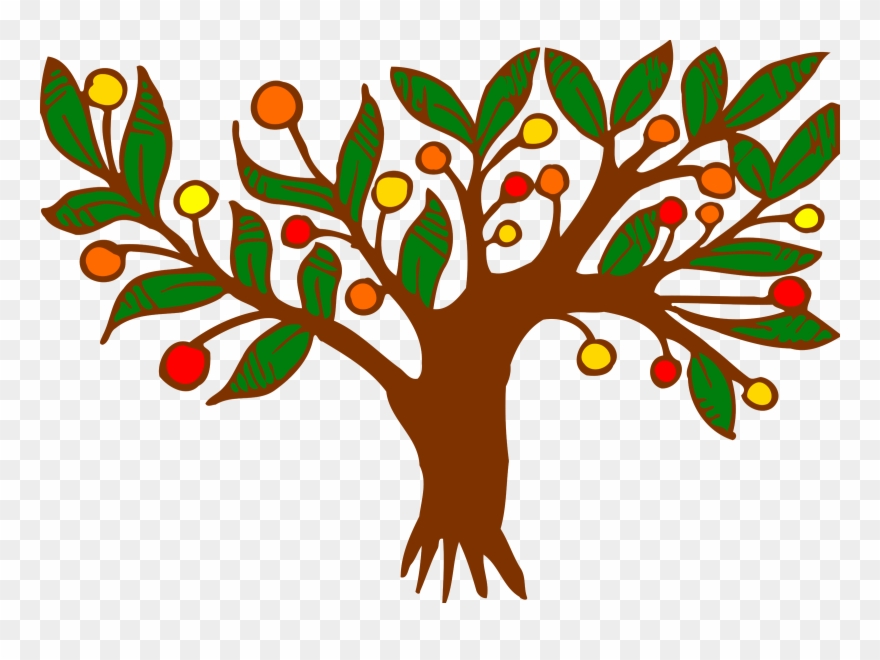 Fruit Tree Color Drawing Branch - Colour Clip Art Of A Tree - Png Download