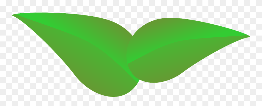 Green Leaves Clipart Forest Leaves - Hojas De Naranja Vector - Png Download