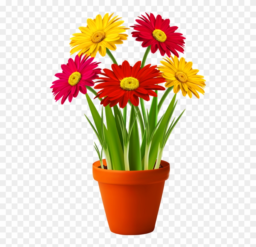 Bouquets Fleurs Tube Flowers Vessels Pinterest - Flower In Pot Vector Clipart