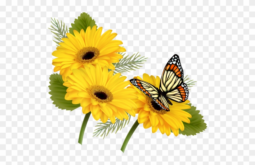 Mayflower Clipart Gerbera Flower - Whatsapp Saturday Good Morning - Png Download