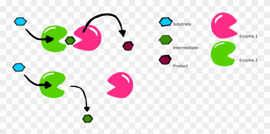 E1 And E2 Are Positioned Near Enough To Each Other Clipart