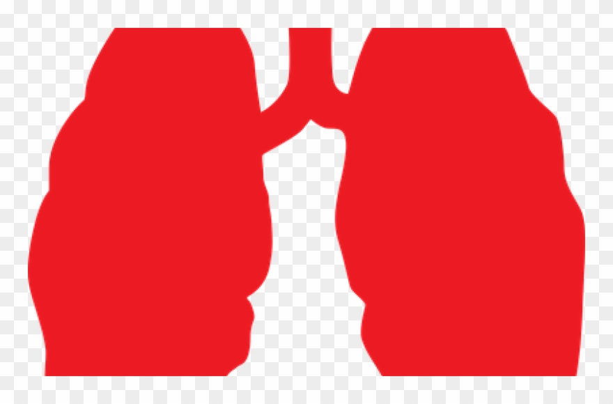 Strados Labs Clipart