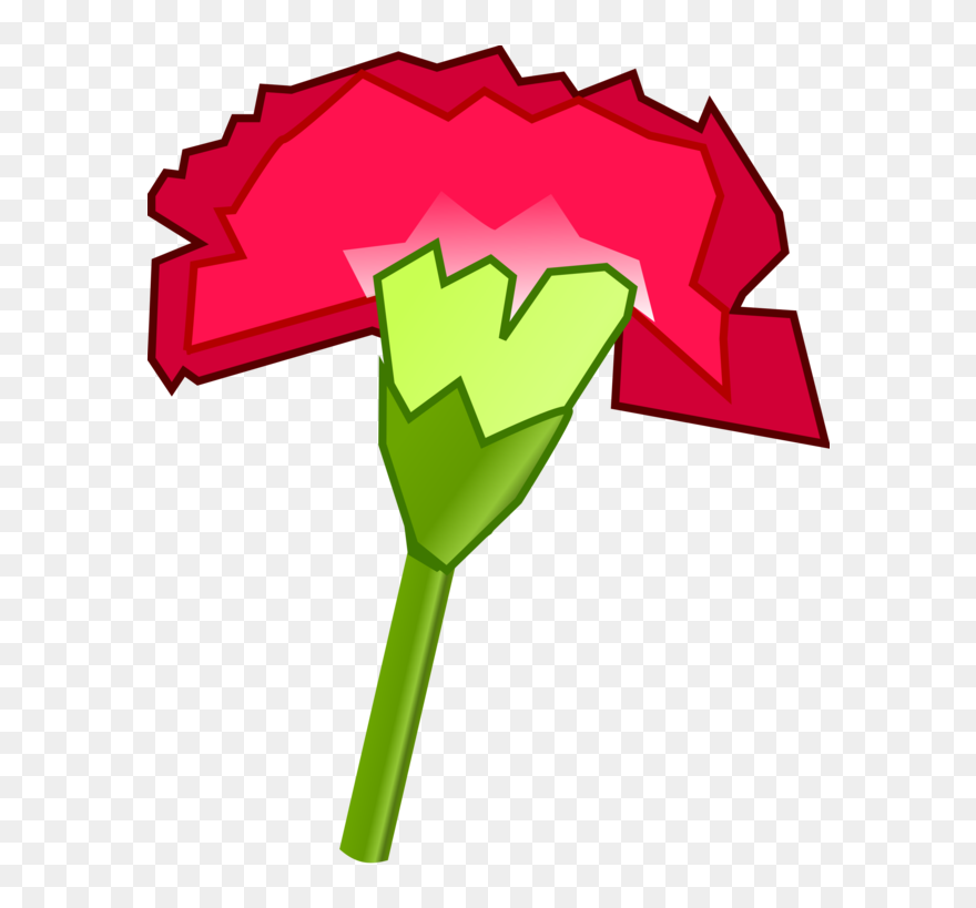 Carnation Download Computer Icons Ohio State Flower - Clipart Cravo - Png Download