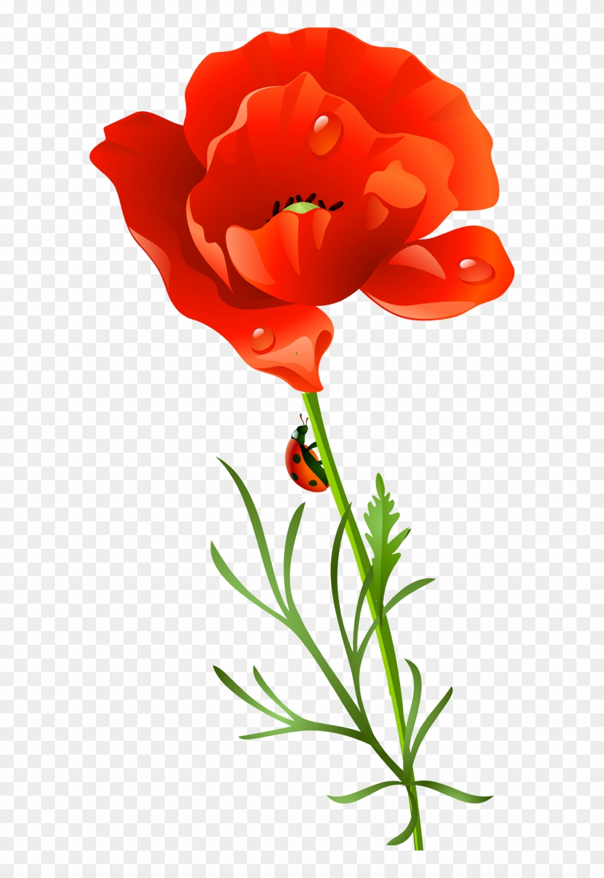 手机ppt剪贴画 剪贴画 - 罂粟花 - Imagine This Red Flowers Image Snappet Charm Clipart