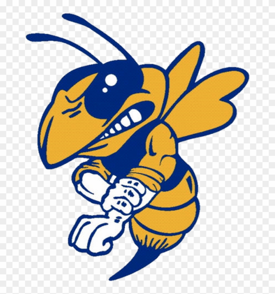 Hornet Clipart Baker - East Canton Hornets Logo - Png Download