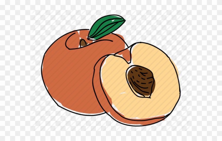 Peach Clipart Peach Pit - Drawn Peach - Png Download