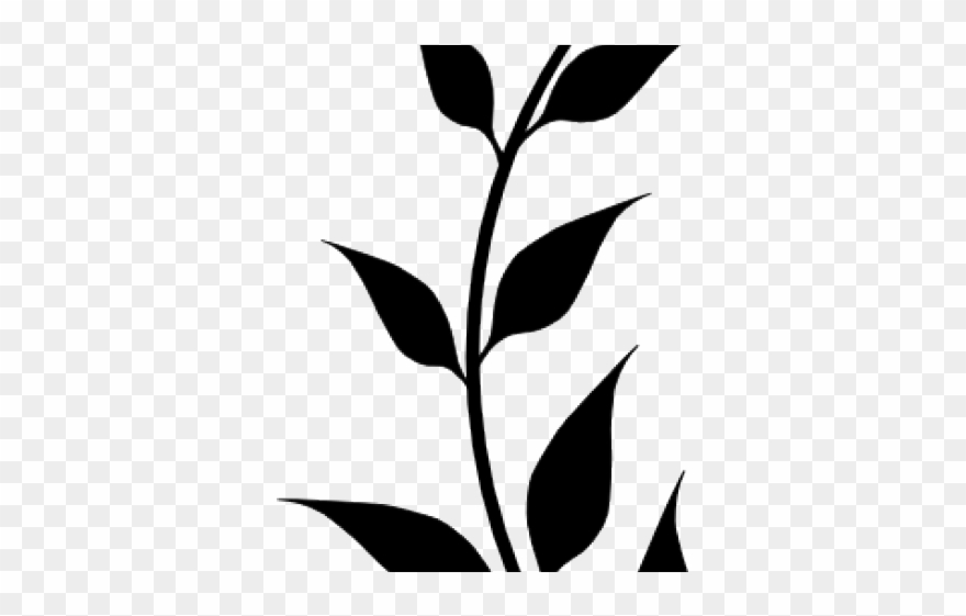 Vines Clipart Laurel - San Josef National High School - Png Download