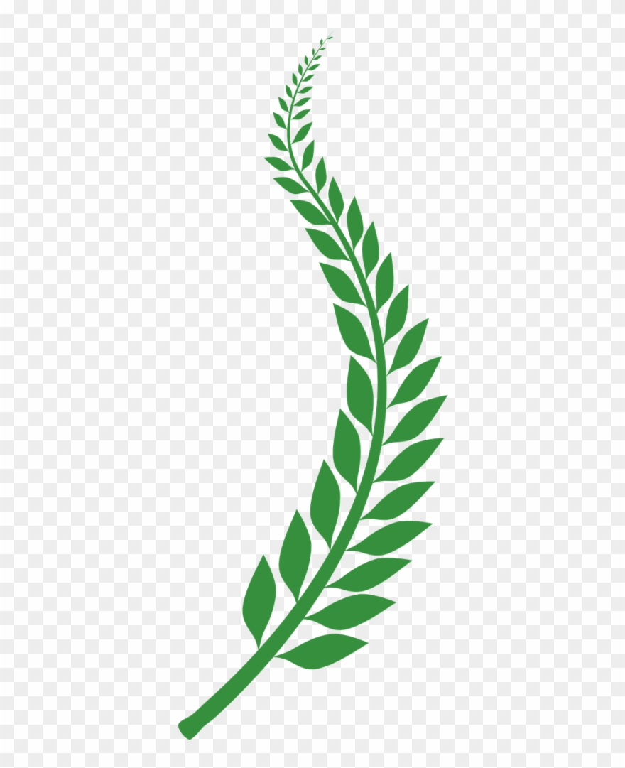 Free Photos Laurel Wreath Search Download Needpix - Wheat Background Transparent Png Clipart