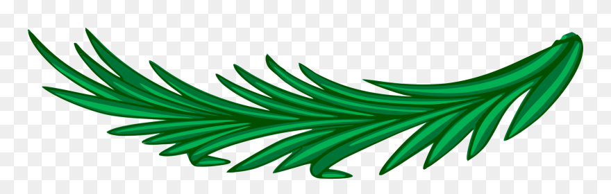 Branch Big Image Png - Rama De Laurel Png Clipart