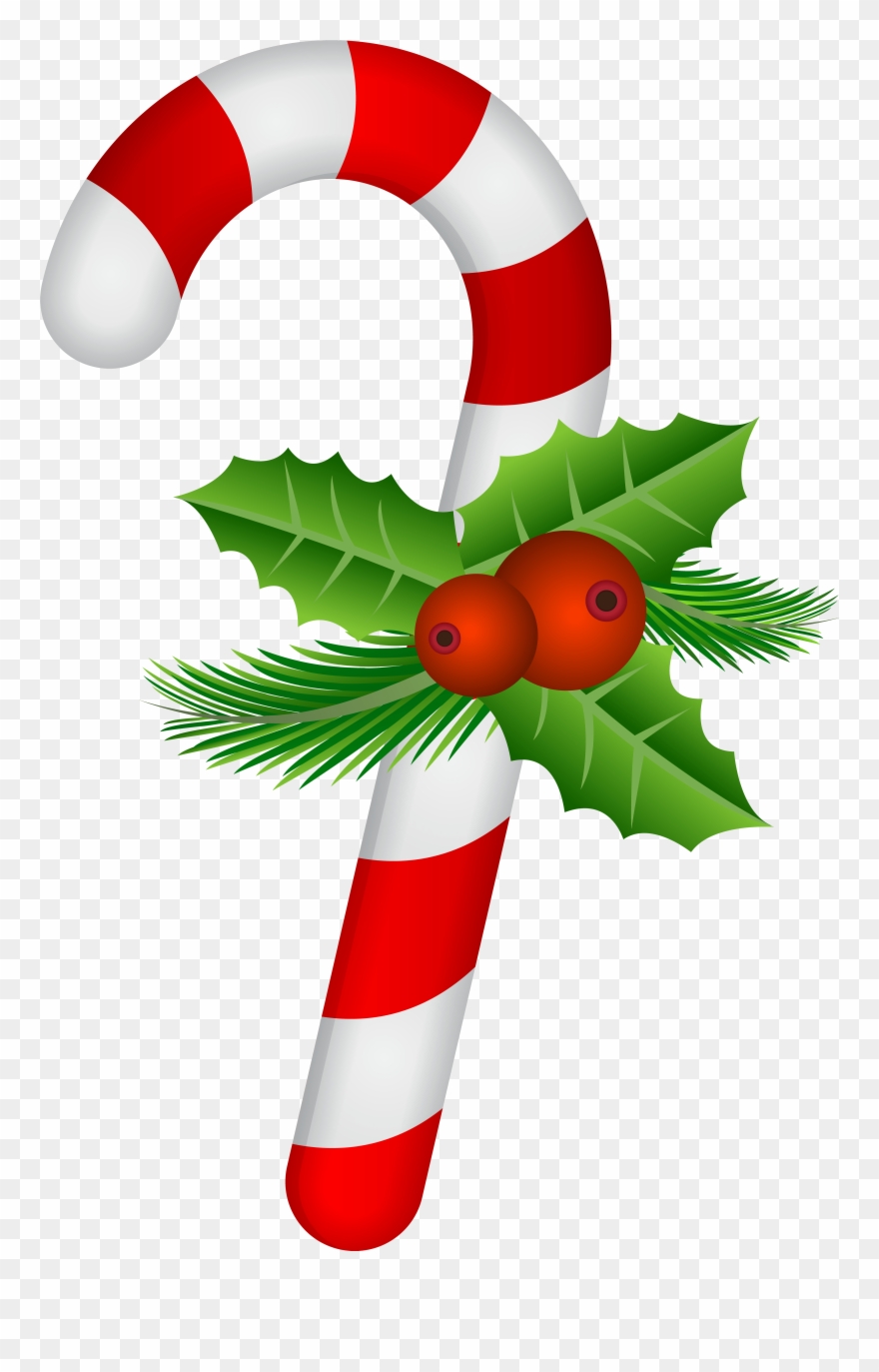 Clip Art Transparent Holly - Png Download