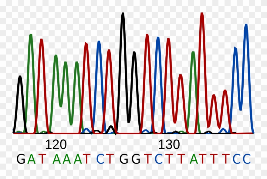 Girl Scout Junior Detective Badge Clipart