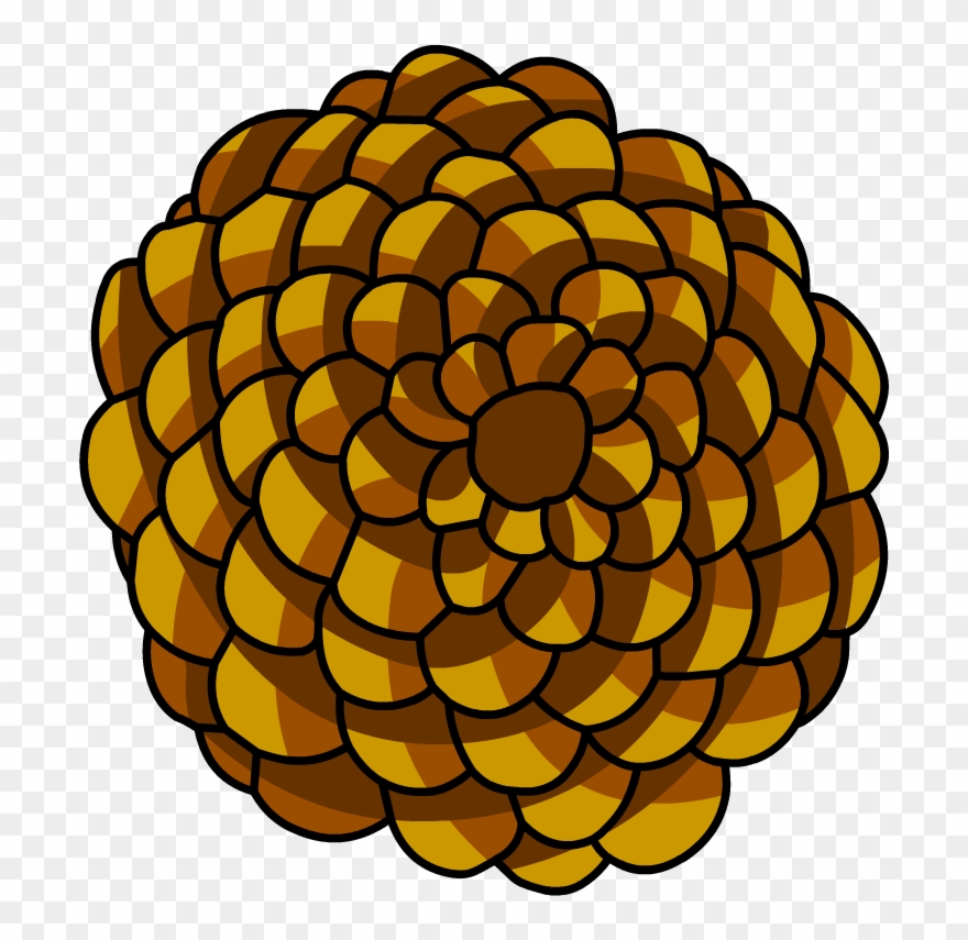 Fibonacci Sequence Clipart