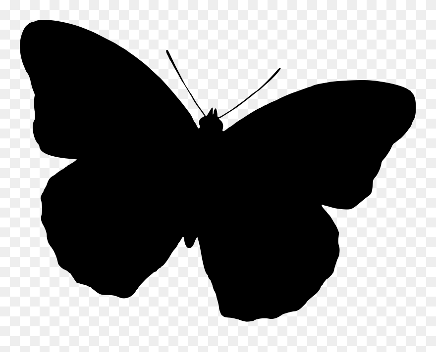 Butterfly Silhouette Drawing Black And White Free Commercial - Clipart Purple Butterfly Butterfly Images Png Transparent Png