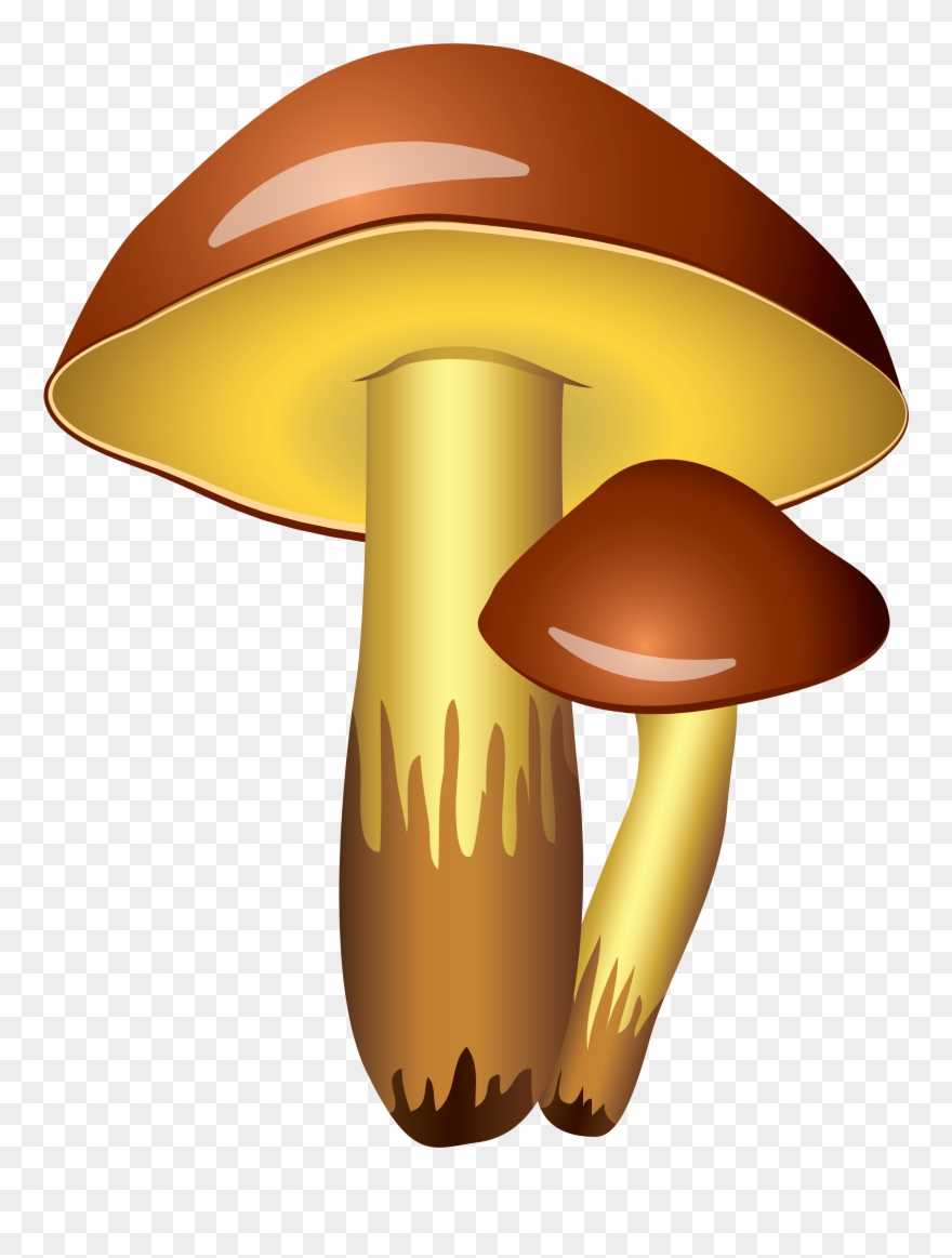 Mushrooms - Mushroom Clipart Transparent Background - Png Download