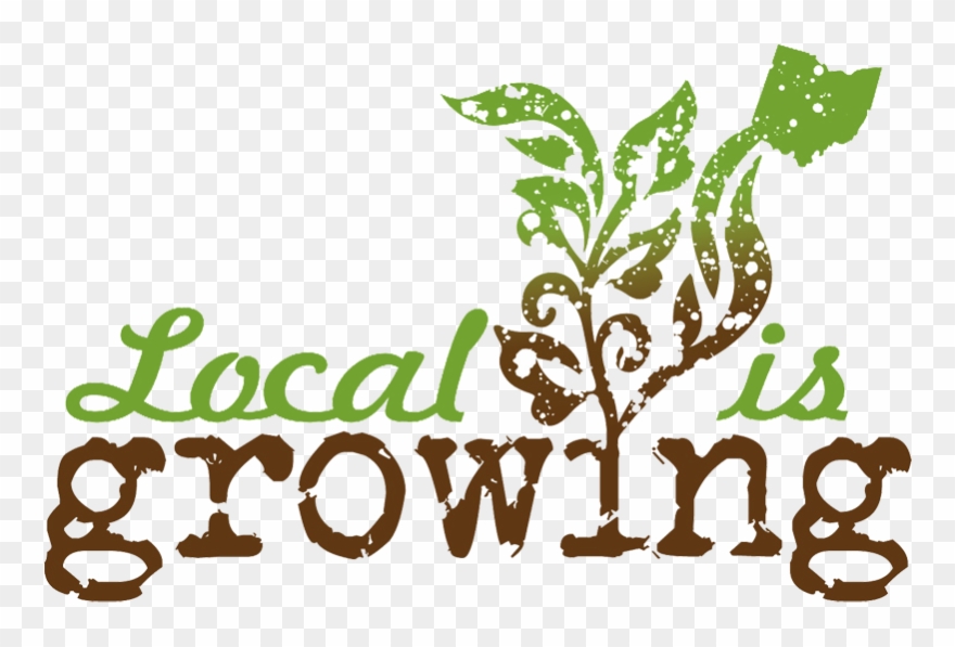 Bean Burrito - Local Foods Clipart