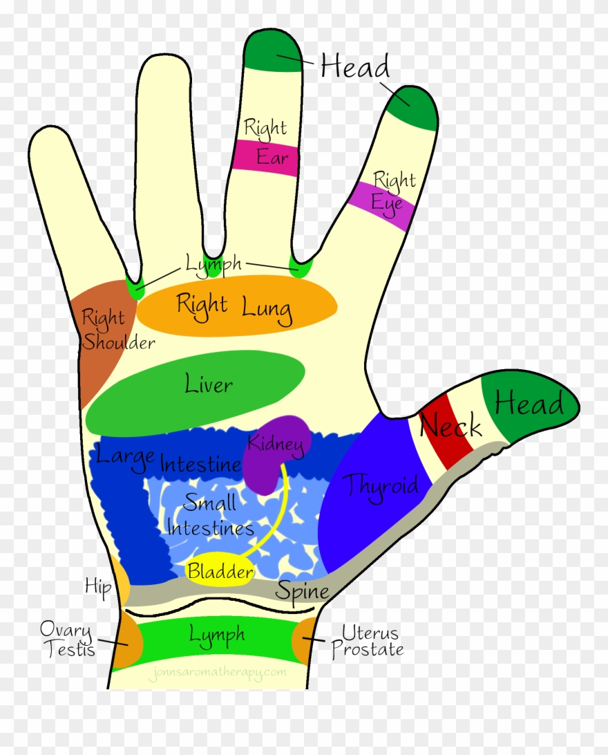 Right Hand - Right Palm Reflexology Clipart