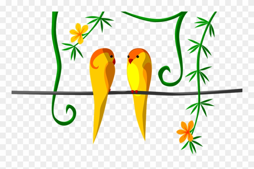 Bird Couple Images - Love Clipart