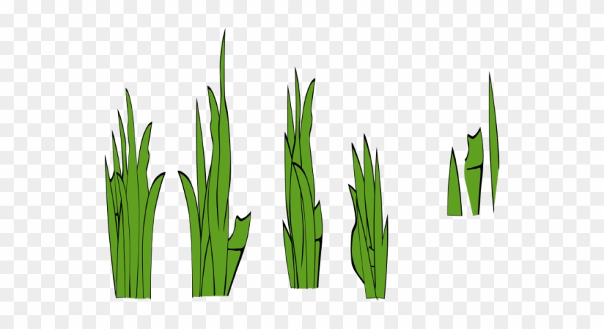 Stone Clipart Grass Clump - Grass Clip Art - Png Download