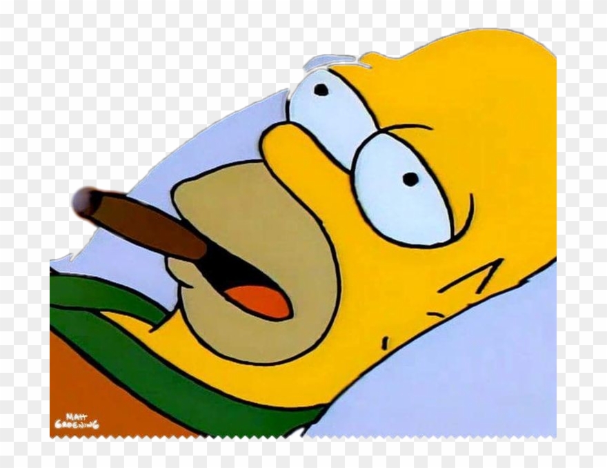 Simpsons Boy Everyone Is Stupid Except Me Clipart