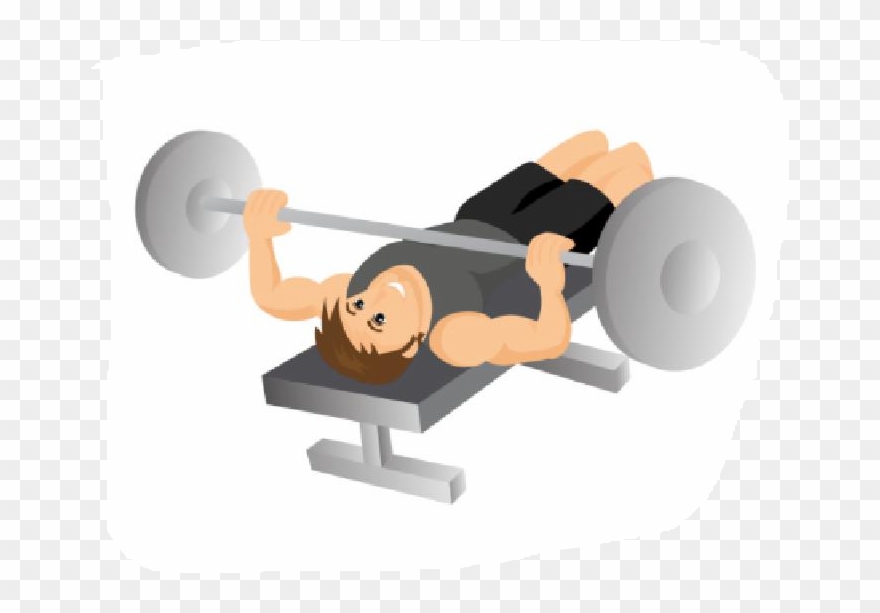 Exercise Bench Clipart Bmi - Exercise - Png Download