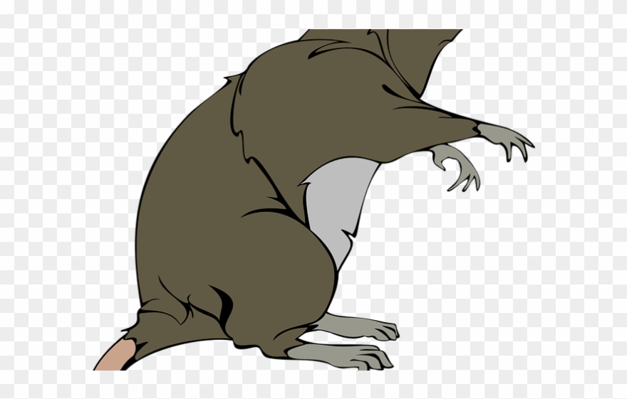 Grey Clipart Tikus - Rat Clip Art - Png Download